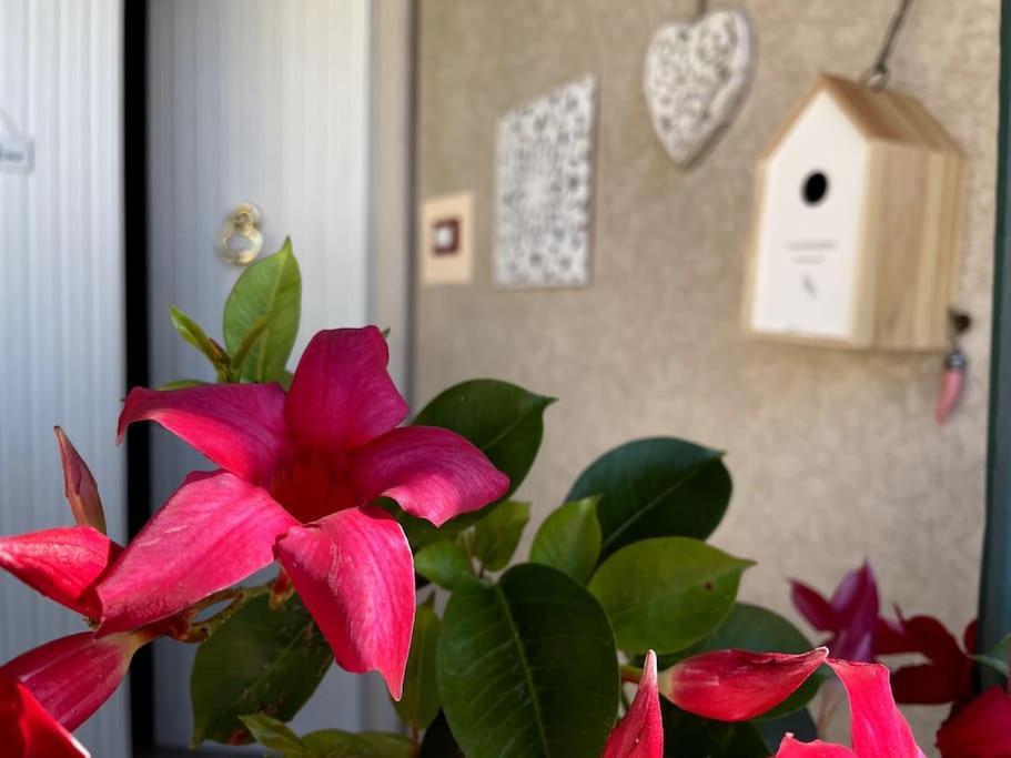 Annali Casa Vacanze - Shabby Style Nella Natura La Spezia Exteriör bild