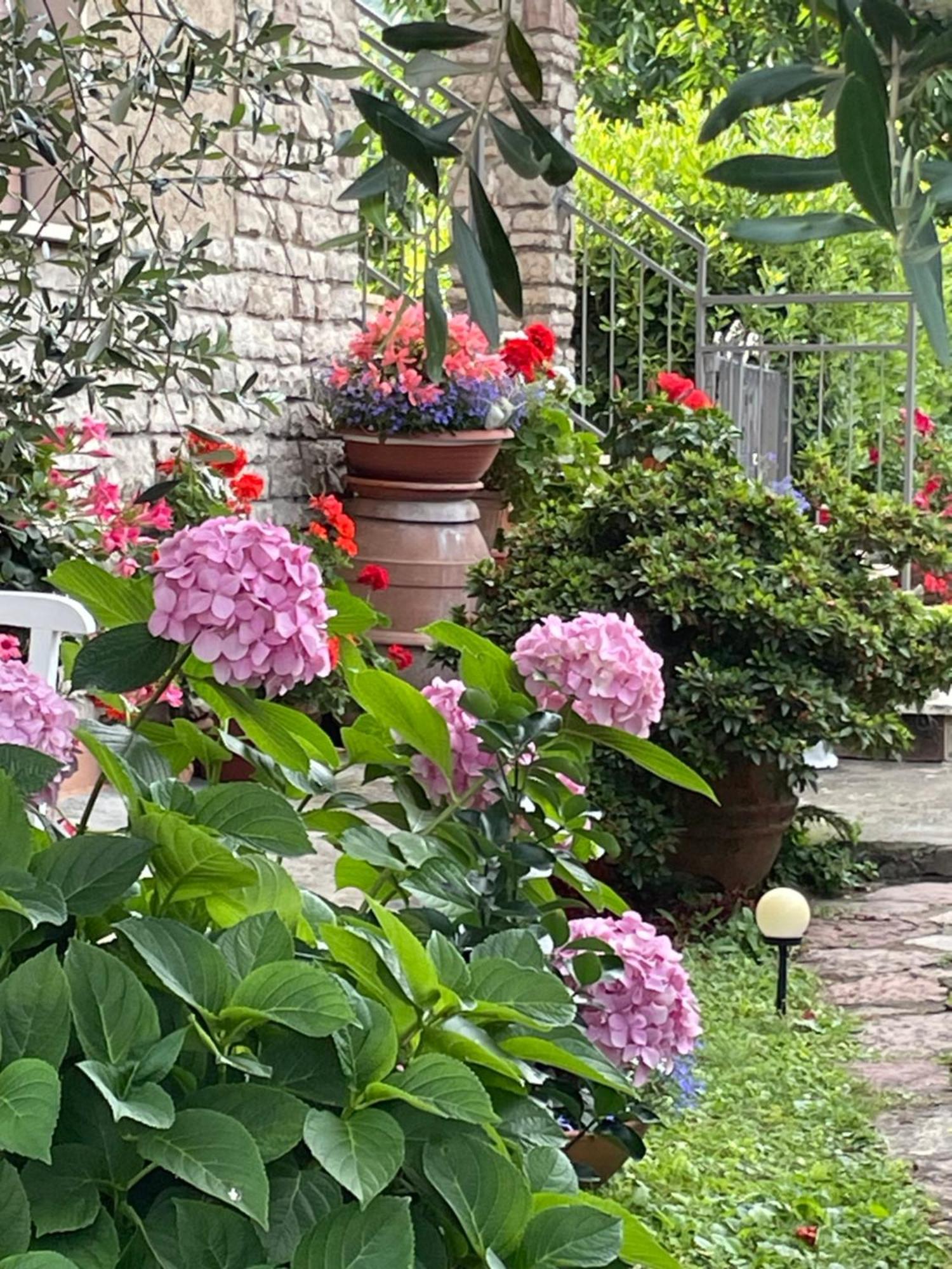 Annali Casa Vacanze - Shabby Style Nella Natura La Spezia Exteriör bild